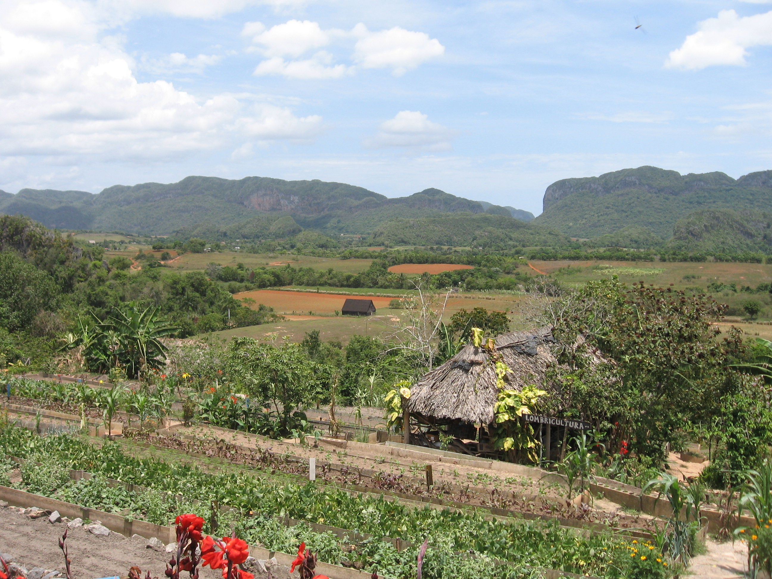 Vallée de Vinales