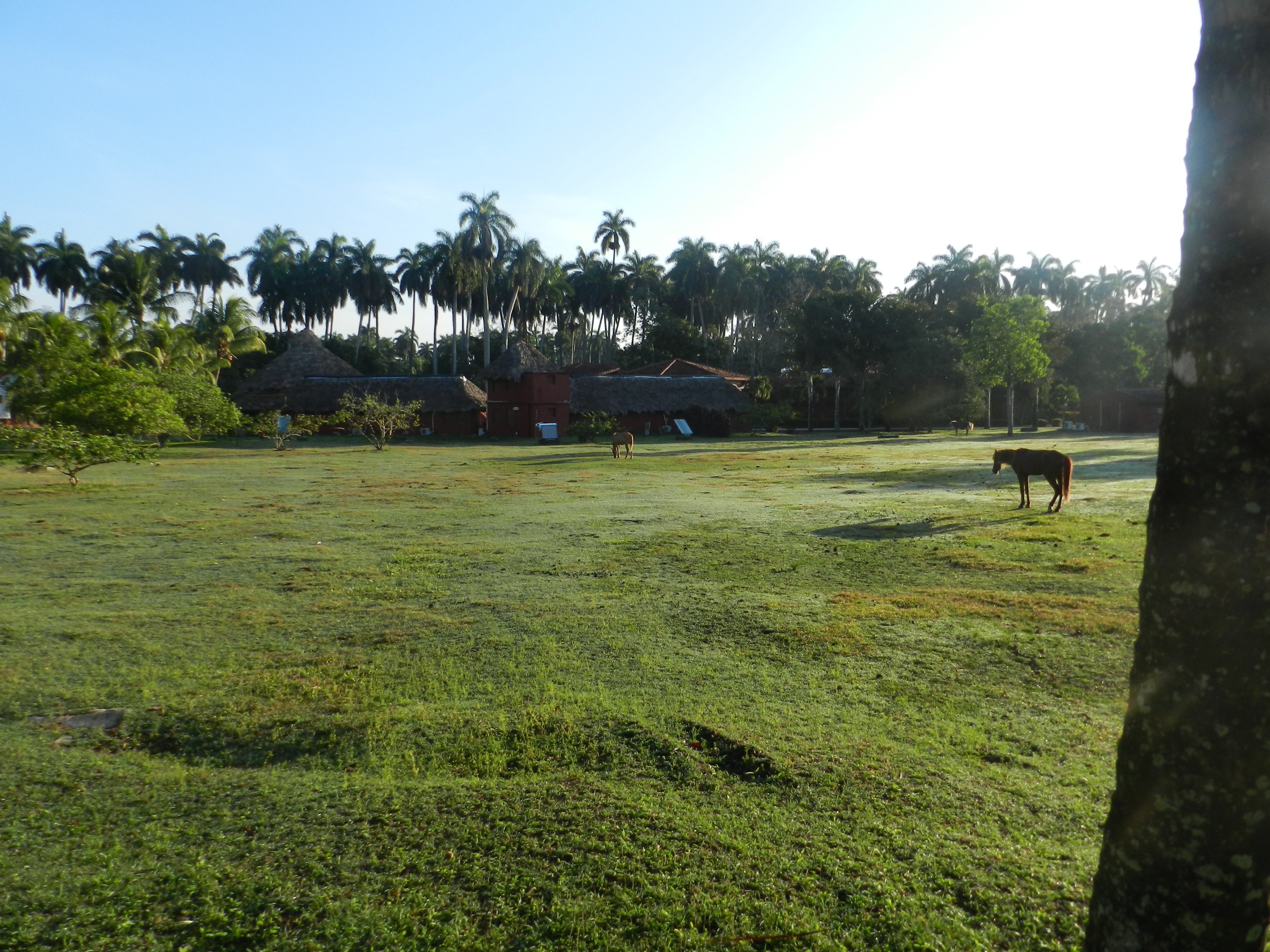 Paysages courants à Cuba